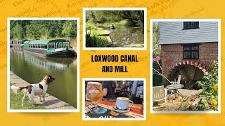 Loxwood Canal and Mill