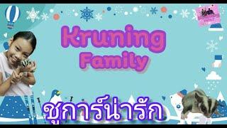 ชูการ์ไกลเดอร์สัตว์เลี้ยงแสนรัก | DungFun Diary