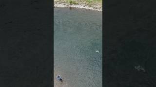 Remote Backcountry Stream Loaded with Hungry Cutthroat Trout!