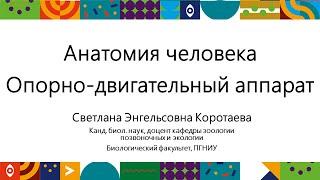 Анатомия человека | Открытый университет