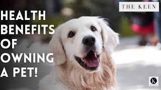 Physical and mental health benefits of owning a pet | The Keen