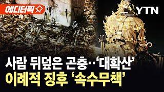 [에디터픽] 사람 뒤덮은 곤충에 '공포'…이례적 현상에 '속수무책' / YTN