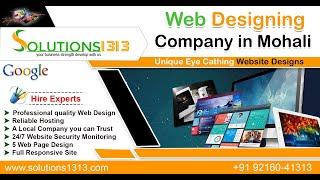 Website Design Company in Chandigarh, Mohali. Website Design Service in Chandigarh - Solutions1313