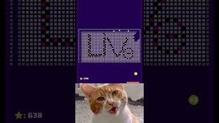 Chipi chipi chapa chapa live #viral #cute #brickmania #shorts