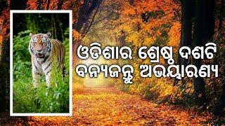 Top 10 wildlife sanctuaries in odisha || ଓଡିଶାର ଶ୍ରେଷ୍ଠ ଦଶଟି ଅଭୟାରଣ୍ୟ || ବହୁତ ସୁନ୍ଦର ସ୍ଥାନ  