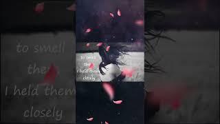 Windflowers  #music #video #news #foryou #shorts #flowers