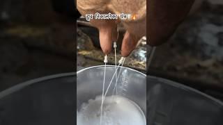 Automatic milk machine ..#farmlover #khedut #farmer #cow #milk #dairyfarm