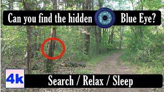 Can You Find The Hidden Blue Eye?  POV Virtual Forest Walk, Relaxing Nature Sounds