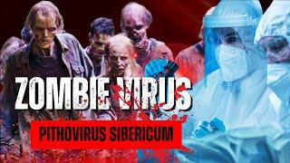 Virus Discovered in siberia Can be Started A Pandemic