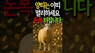 양띠가 반드시 멀리해야하는 띠 그래야 하반기 돈들어옵니다.#양띠 #양띠#2025년운세 #띠별운세 #띠별궁합 #재물운 #재물운상승 #풍수인테리어 #풍수 #돈복 #금전운 #운세