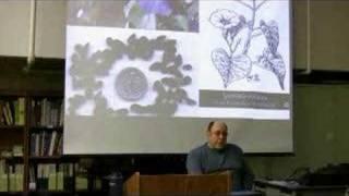 LSD -- A College Class Lecture by Bruce Eisner Part 3