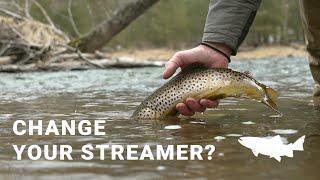 Riverside - When Do  You Change the Streamer?