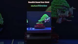 sautuoi50review Beautiful Bonsai from World 16