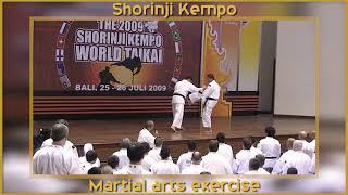 Martial arts exercise Shorinji Kempo.  Kawashima sensei. Taikai  少林寺拳法