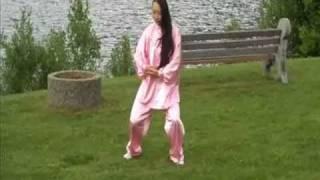 Chen Tai Chi 18 Form | Chen Taiji