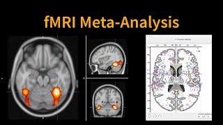 Introduction to fMRI Meta-Analysis