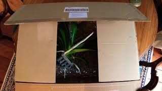 Unboxing orchids video 29/10/2018