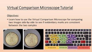 Virtual Comparison Microscope