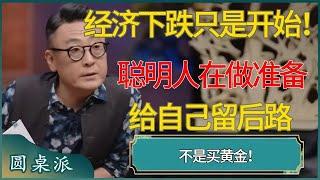 经济下跌只是开始，聪明人都在给自己留后路！#马未都 #对白 #白岩松 #金灿荣 #圆桌派
