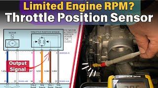 Don't Regret Buying a New Throttle Body Without Watching This First!