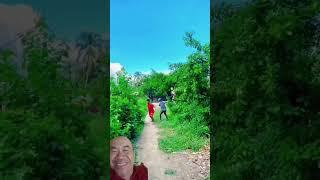 It's funny when a dog chases it until it falls #short #funny #comedy #funnyshorts  #behappy