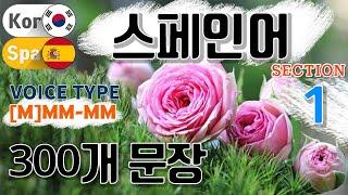 스페인어 / Type [M] M M- M M [Section 1] 생활 회화. / 짧고 쉬운 300문장 연속듣기 / 원어민 남, 여 음성 듣기