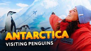 Antarctica: The most unusual cruise. How to get the South Pole? Poseidon Expeditions on Sea Spirit