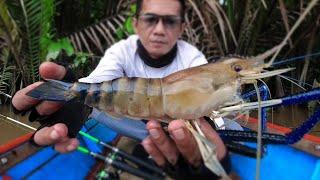 River fishing when the water is very cold - Shrimp fishing videos