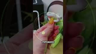 Больше предложений в нашем телеграмме  #like #technology #аксессуары #2025 #subscribe