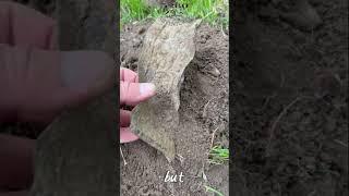 I FOUND THIS WHILE METAL DETECTING in COLORADO! What is it?