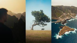 This Is Your Sign To Visit Madeira - Cinematic Photography Film