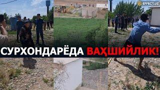 УКРАИНАМИ ЁКИ СУРХОНДАРЁ? ОДАММИ ЁКИ ВАҲШИЙ МАҲЛУҚ??? – EFFECT.UZ