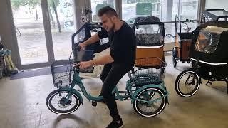 Swing Mini 20 Zoll Dreirad E-Bike Senioren Lastenrad Cargo Lastenfahrrad