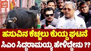 CM Siddaramaiah's Reaction On Chamarajpet Cow Incident | YOYO TV Kannada