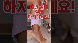 대변 볼때 절대 하지마세요!!#건강#건강정보#쇼츠#shorts#대변