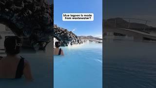 How the Famous Blue Lagoon is Actually Factory Wastewater! #iceland  #lagoon #travelshorts