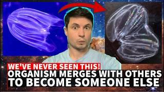 Strange Discovery of an Organism That Can Fuse Becoming a New Individual