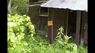 Trip to Billows, Rockcastle County, Kentucky / Part 3 / SDV_0034.MP4