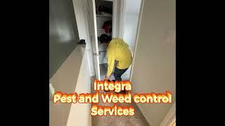 No more pests!!