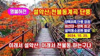 설악산 천불동계곡 단풍 절정 -이래서 천불동단풍, 천불동 단풍 하는구나 - 해산강트래블