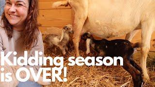 SO MANY Baby Goats! (Kidding Season is OVER) | VLOG