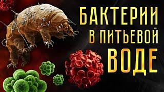 Бактерии в воде! Экстремальные методы очистки воды.