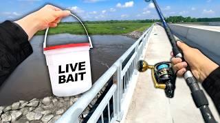 Eating Whatever I Catch.. Fishing a NEW Bridge (Catch and Cook)