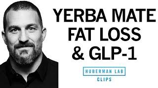 What is GLP-1 & How Does It Reduce Appetite & Promote Weight Loss? | Dr. Andrew Huberman