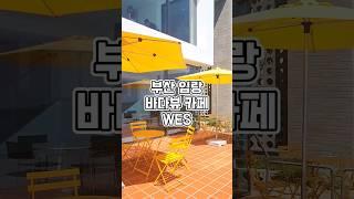 부산 임랑 해수욕장 바다뷰 카페 추천 WES 웨스 #내돈내산 #임랑해수욕장 #임랑 #웨스카페 #wes #웨스#wes카페