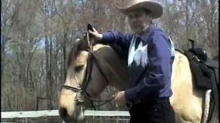 documentary "A Talk with Cowboy Dave"