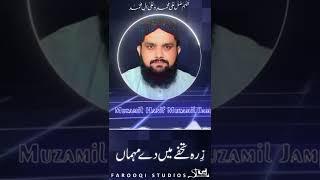 Shan e Hazrat Usman e Ghani Status
