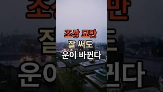 조상 묘만 잘 써도 운이 바뀐다 #풍수