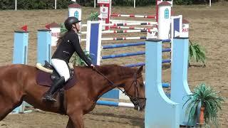 Roman ZM Veveří 030819