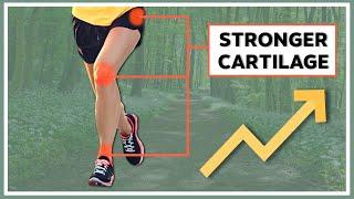 How to strengthen your cartilage?